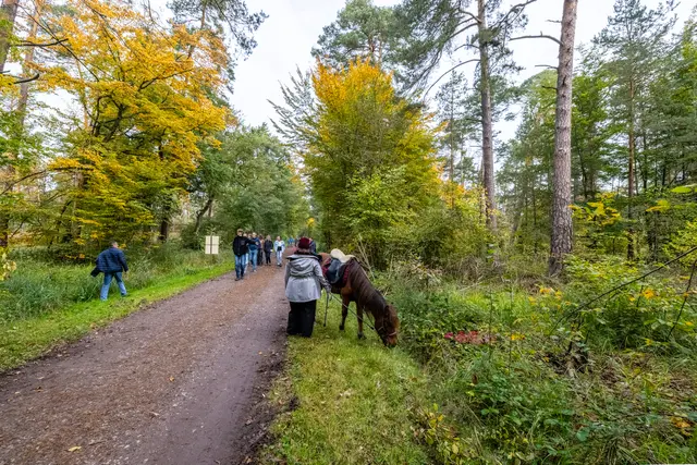 Foto: Johann-Peter Melder