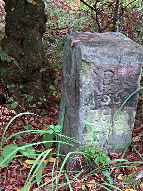 Foto: Brigitte Melder