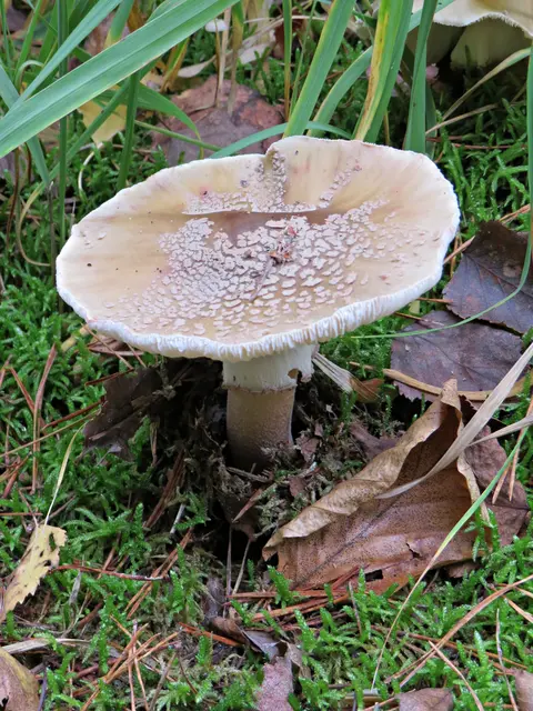 Foto: Brigitte Melder