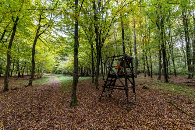 Foto: Johann-Peter Melder