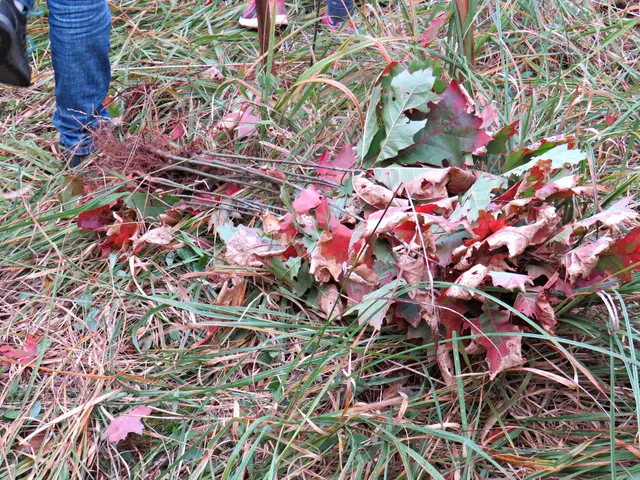 Foto: Brigitte Melder