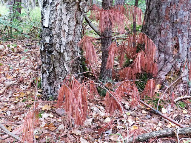 Foto: Brigitte Melder