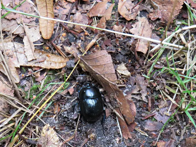 Foto: Brigitte Melder