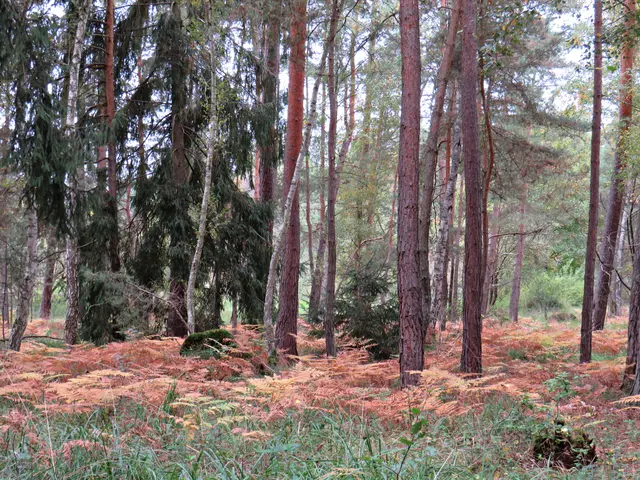 Foto: Brigitte Melder