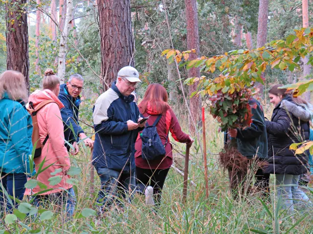 Foto: Brigitte Melder