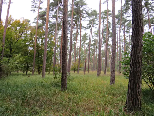 Foto: Brigitte Melder