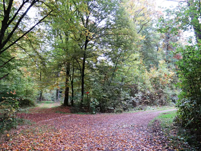 Foto: Brigitte Melder