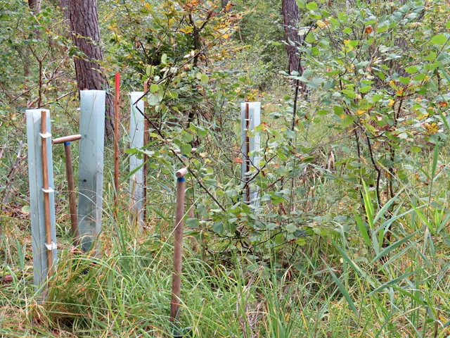 Foto: Brigitte Melder