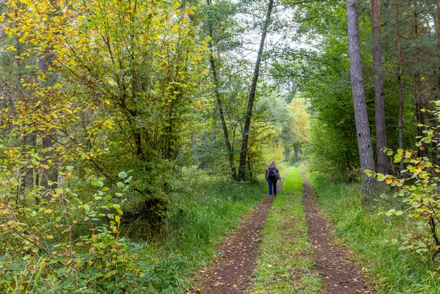 Foto: Johann-Peter Melder