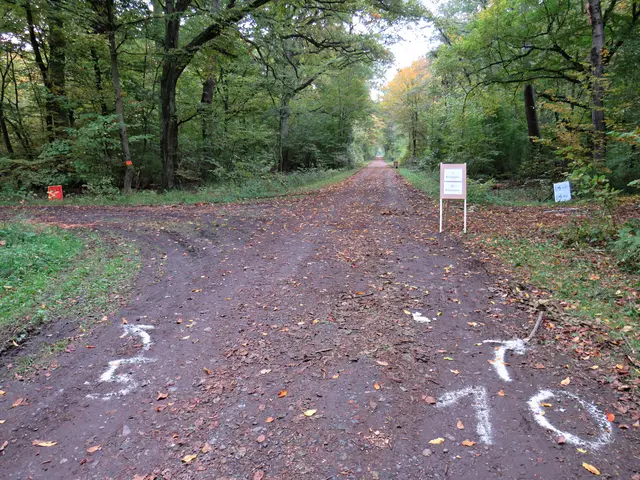 Gabelung auf 5 km und 10 km | Foto: Brigitte Melder