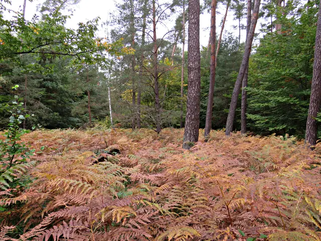 Foto: Brigitte Melder