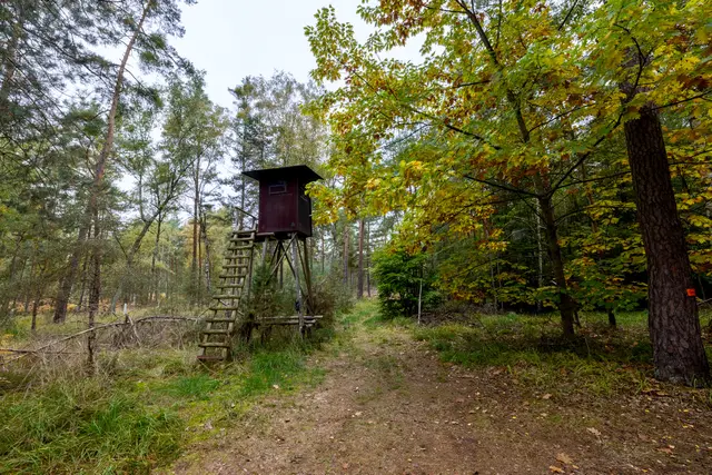 Foto: Johann-Peter Melder