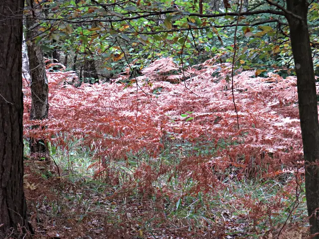 Foto: Brigitte Melder