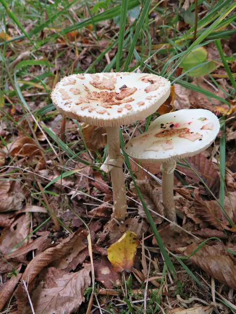 Foto: Brigitte Melder