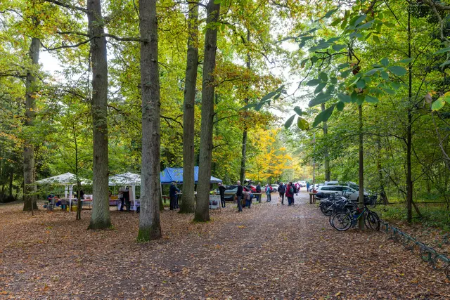 Foto: Johann-Peter Melder