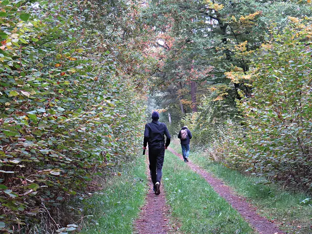 Waldläufer | Foto: Brigitte Melder