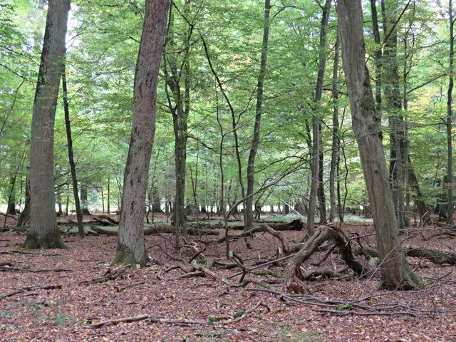 Foto: Brigitte Melder