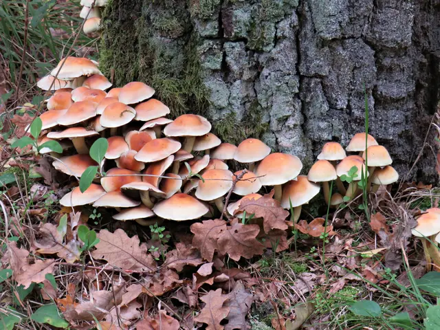 Foto: Brigitte Melder