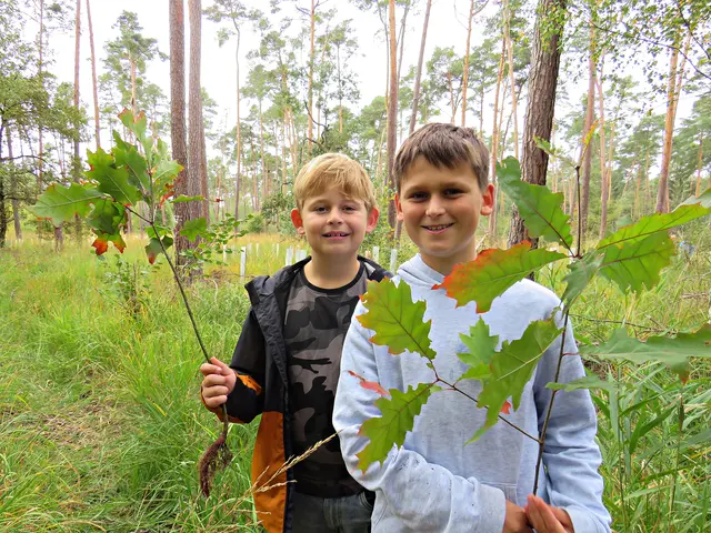 Der Nachwuchs sorgt für Nachwuchs | Foto: Brigitte Melder