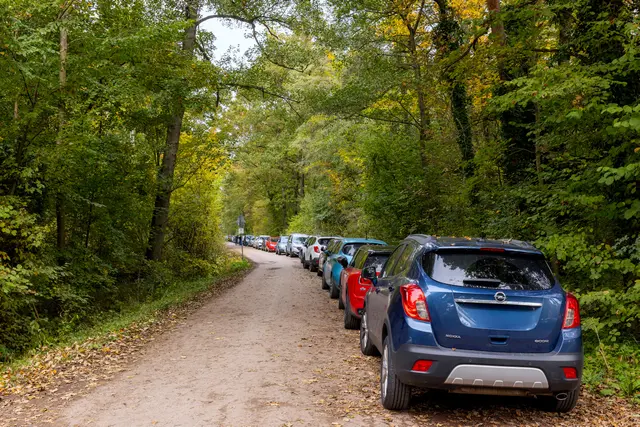 Foto: Johann-Peter Melder