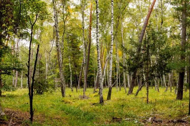 Foto: Johann-Peter Melder