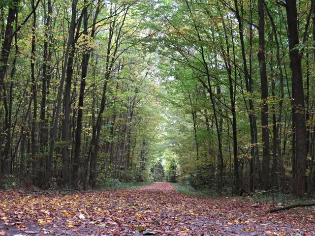 Foto: Brigitte Melder