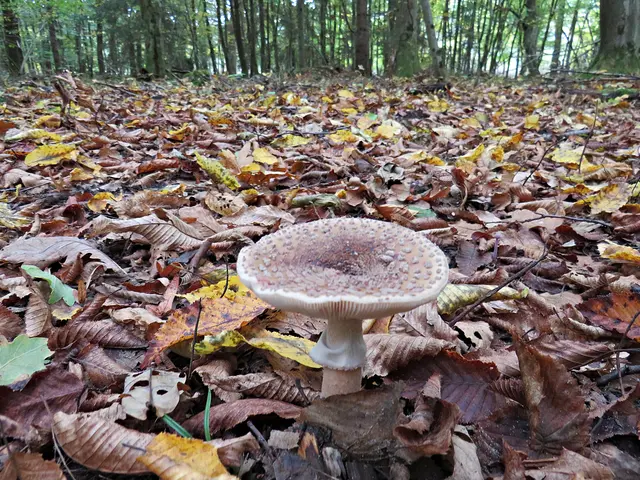 Foto: Brigitte Melder