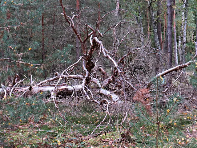 Foto: Brigitte Melder