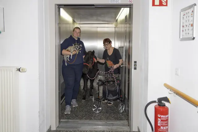 Carina Reuter ist "das Mädel mit den ganzen Tieren" - hier im Aufzug mit Hund Mucki, Pony Etti und Heimbewohnerin Walburga Alberti | Foto: Matthias Busse/gratis