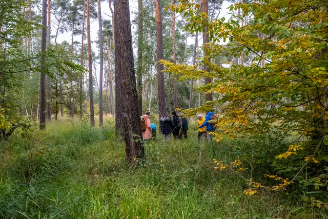 Baumpflanzaktion | Foto: Johann-Peter Melder