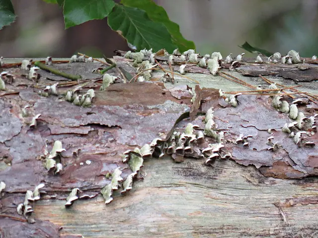 Foto: Brigitte Melder