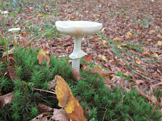 Foto: Brigitte Melder