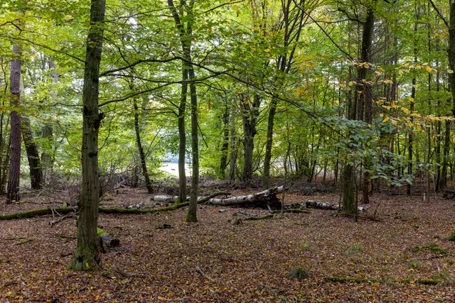 Foto: Johann-Peter Melder