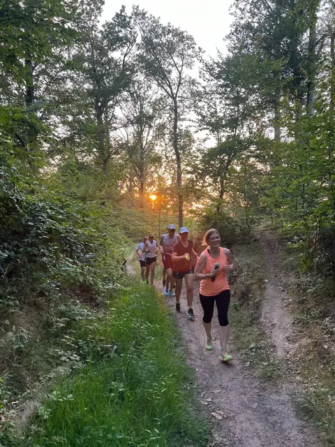 Weiche Pfade, klare Luft und herbstliche Ruhe: Im Kraichgau-Stromberg ist Trailrunning ein Naturerlebnis mit viel Raum zum Durchatmen. | Foto: TSV Ensingen 1911 e.V.
