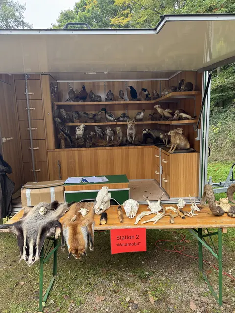 Wild-Erlebniswagen des LJV | Foto: Arno Mohr
