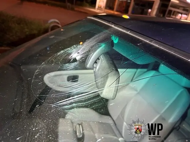 Steinewerfer unterwegs - Zeugen gesucht | Foto: Polizei