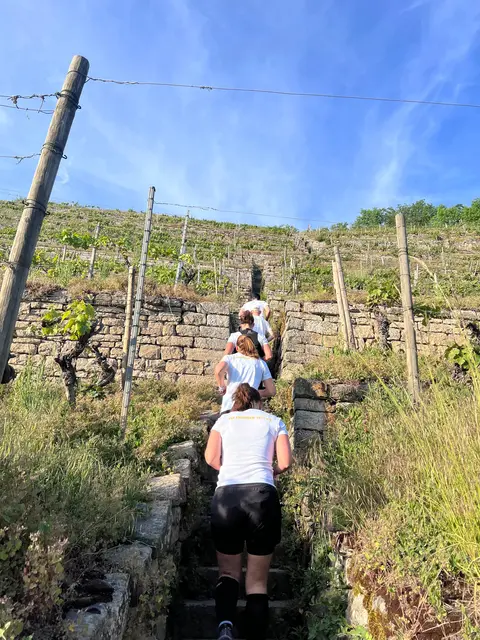 Auf den „Stäffele“ durch die Weinberge: Wo sonst die Winzer unterwegs sind, fordern kurze Anstiege und weite Ausblicke Kondition und Konzentration gleichermaßen. | Foto: TSV Ensingen 1911 e.V.