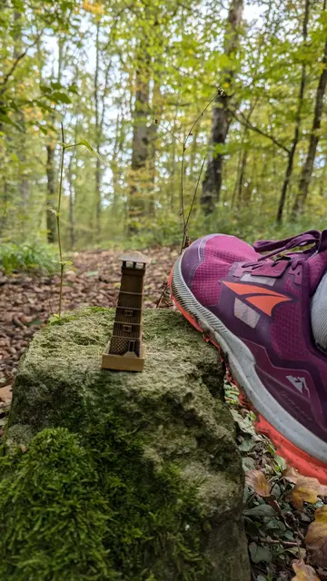 Fester Tritt auf historischem Boden – der Eppinger-Linien-Weg verbindet Geschichte und Natur und gehört zu den abwechslungsreichsten Trailpassagen im Land der 1000 Hügel. | Foto: TSV Ensingen 1911 e.V.