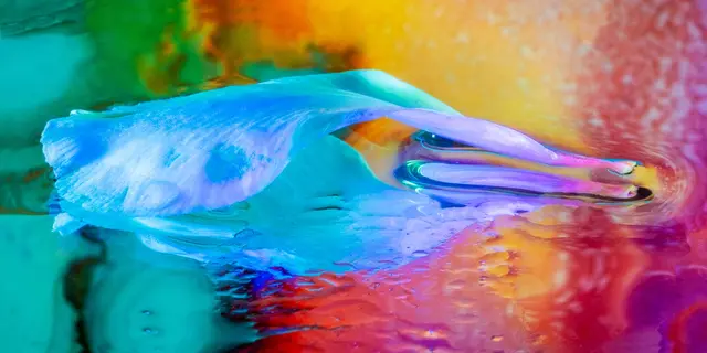 Die Vernissage zur Jahresausstellung des Fotoclubs Pentaprisma findet am Freitag, 21. November, um 18 Uhr im Mauchdacher Schloss statt | Foto: Margit Klaus