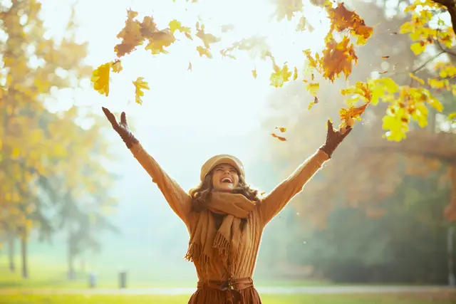 Herbst Symbolbild | Foto: Alliance/stock.adobe.com