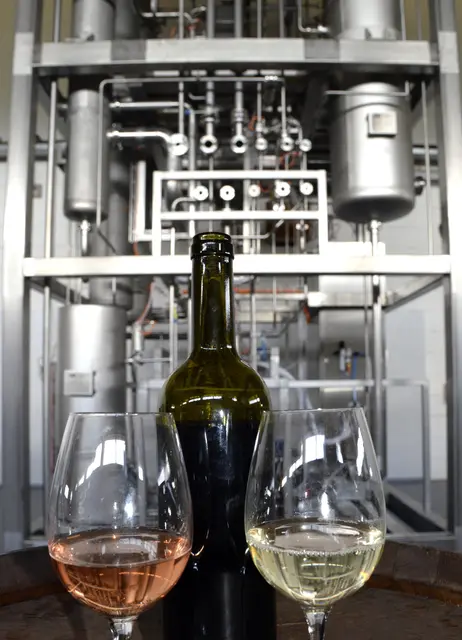 Ein Highlight des Thementages: Eine wissenschaftliche Weinprobe der Weincampus Neustadt | Foto: Weincampus Neustadt