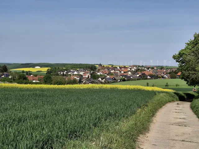 Der Panoramaweg mit Blick auf Kriegsfeld | Foto: Tristan Werner