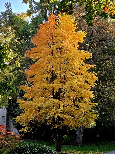 Foto: oehler_photography