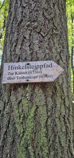 Hinkelsteinpfad | Foto: Ich