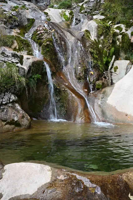 Foto: oehler_photography