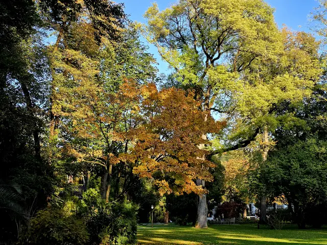 Foto: oehler_photography