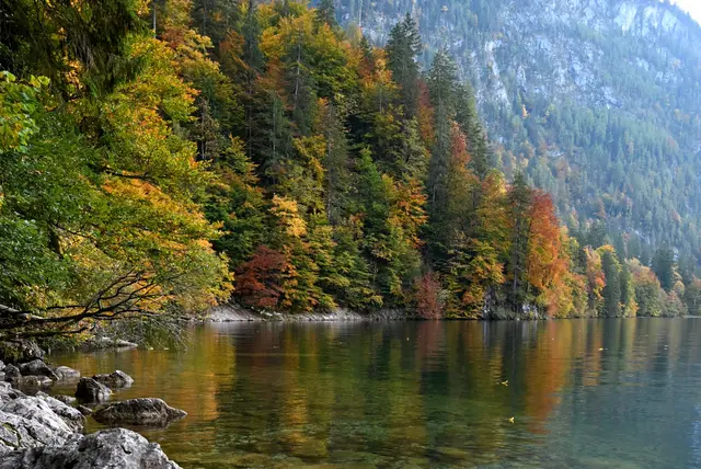 Foto: oehler_photography