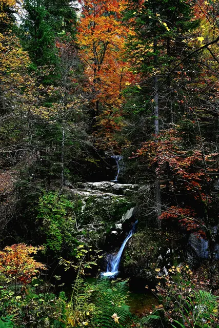 Foto: oehler_photography