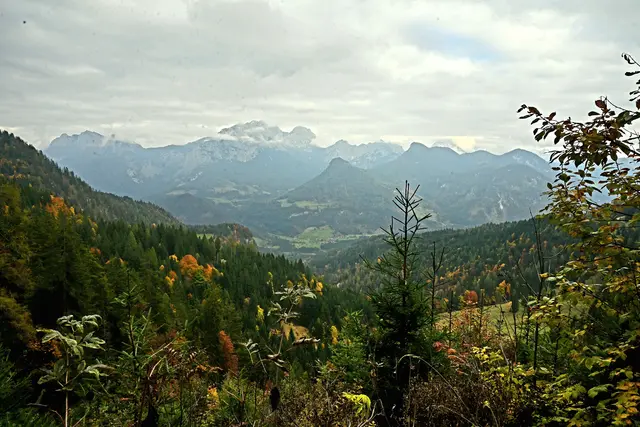 Foto: oehler_photography