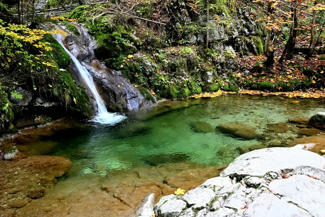 Foto: oehler_photography